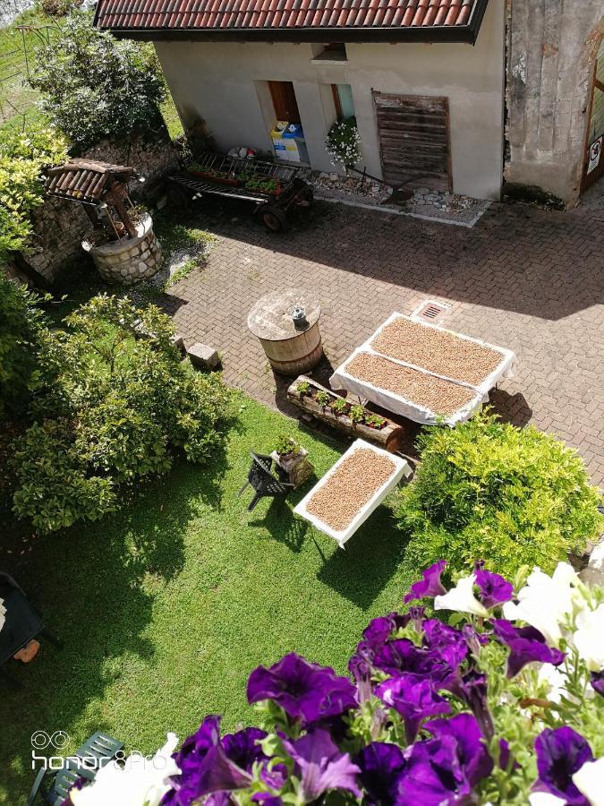 Agriturismo Antica Pieve Limana Buitenkant foto
